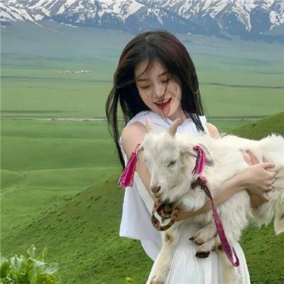 慈母泪